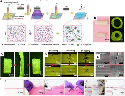 4D Printing Applications in the Development of Smart Cardiovascular Implants